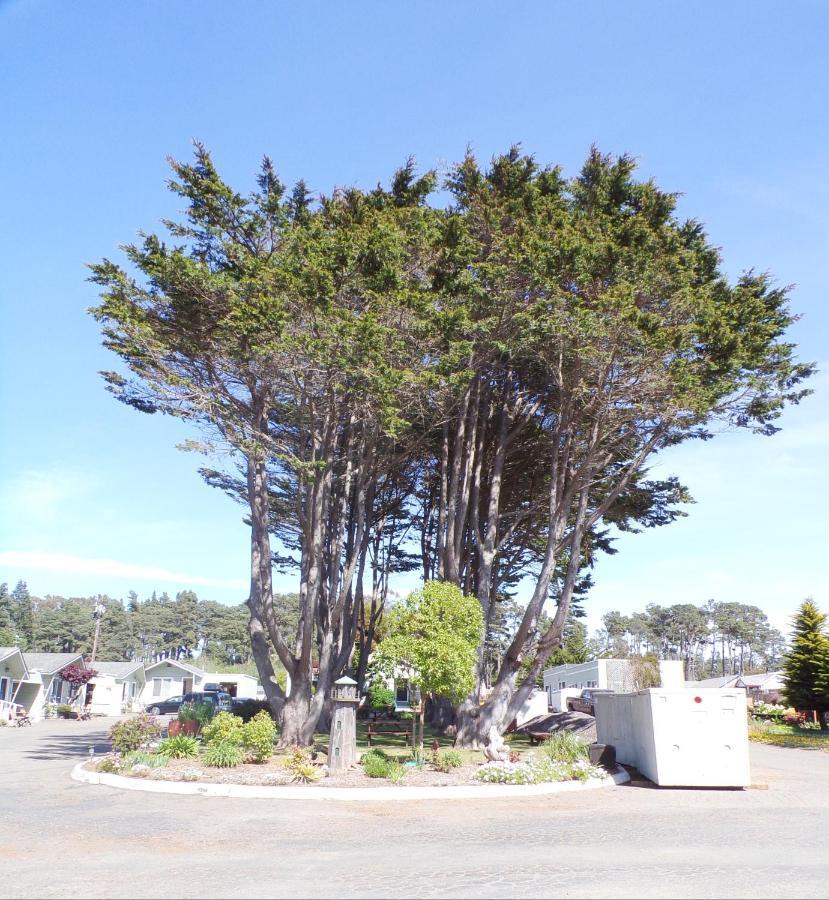 Shoreline Cottages Fort Bragg Esterno foto